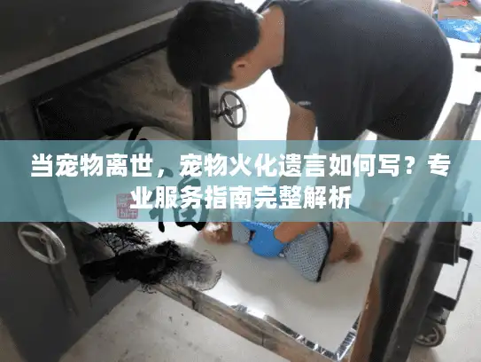 当宠物离世，宠物火化遗言如何写？专业服务指南完整解析