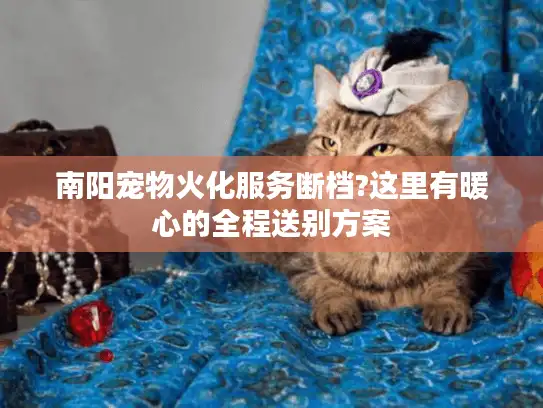 南阳宠物火化服务断档?这里有暖心的全程送别方案