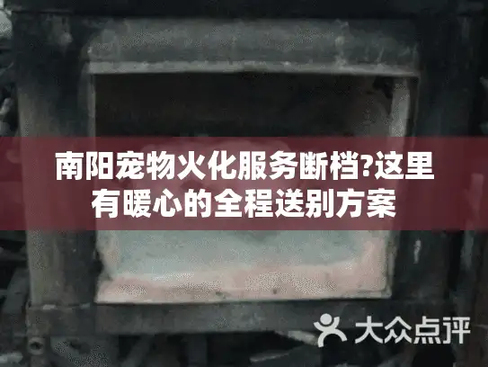 南阳宠物火化服务断档?这里有暖心的全程送别方案