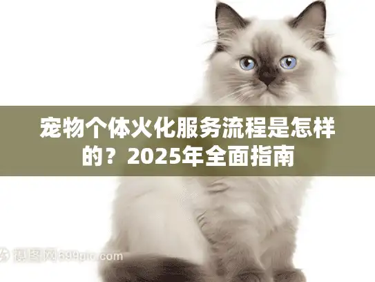 宠物个体火化服务流程是怎样的？2025年全面指南