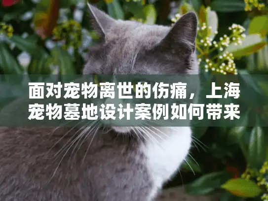 面对宠物离世的伤痛，上海宠物墓地设计案例如何带来心灵安慰？