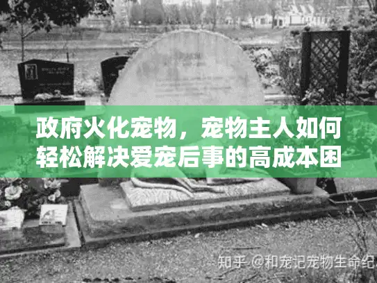 政府火化宠物，宠物主人如何轻松解决爱宠后事的高成本困扰？