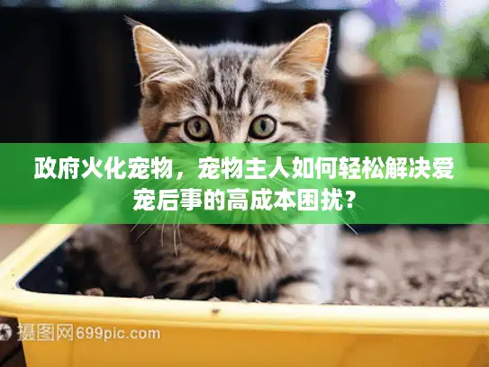 政府火化宠物，宠物主人如何轻松解决爱宠后事的高成本困扰？