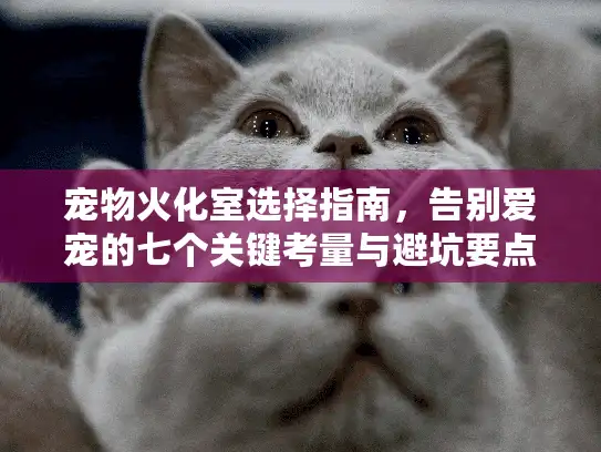 宠物火化室选择指南，告别爱宠的七个关键考量与避坑要点