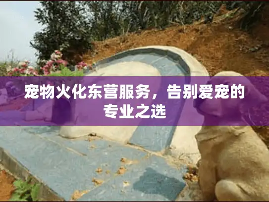 宠物火化东营服务，告别爱宠的专业之选