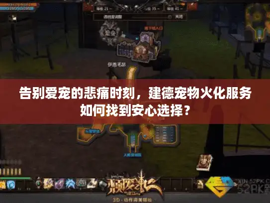 告别爱宠的悲痛时刻，建德宠物火化服务如何找到安心选择？