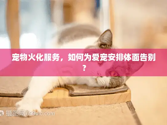 宠物火化服务，如何为爱宠安排体面告别？