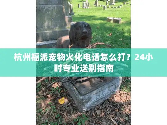 杭州福派宠物火化电话怎么打？24小时专业送别指南
