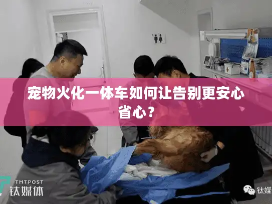 宠物火化一体车如何让告别更安心省心？