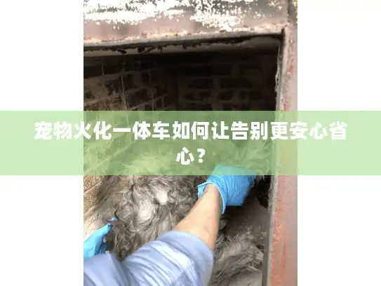 宠物火化一体车如何让告别更安心省心？