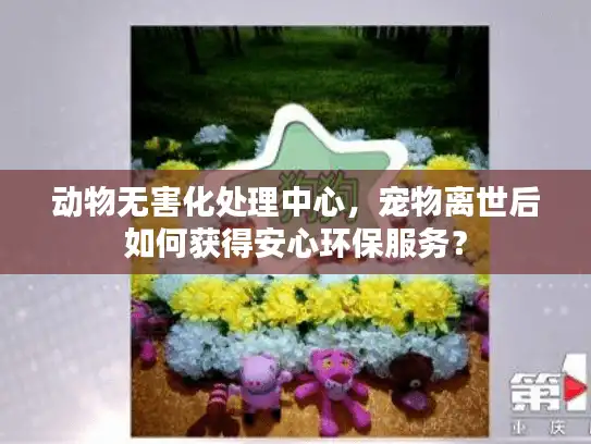 动物无害化处理中心，宠物离世后如何获得安心环保服务？