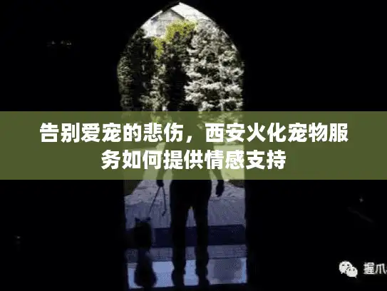 告别爱宠的悲伤，西安火化宠物服务如何提供情感支持