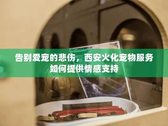 告别爱宠的悲伤，西安火化宠物服务如何提供情感支持