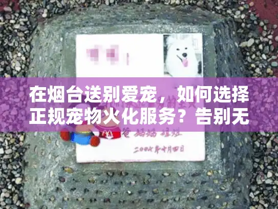 在烟台送别爱宠，如何选择正规宠物火化服务？告别无忧指南