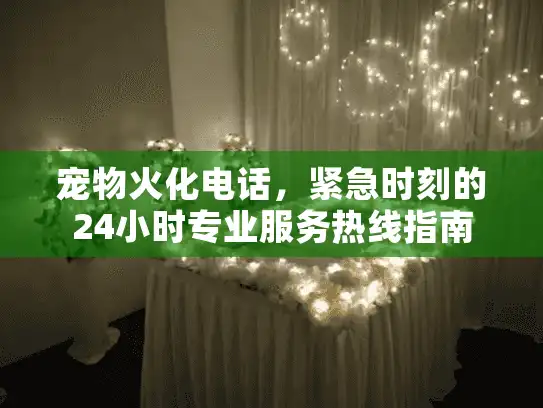 宠物火化电话，紧急时刻的24小时专业服务热线指南