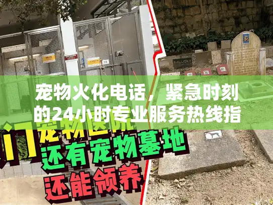 宠物火化电话，紧急时刻的24小时专业服务热线指南