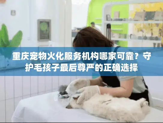 重庆宠物火化服务机构哪家可靠？守护毛孩子最后尊严的正确选择