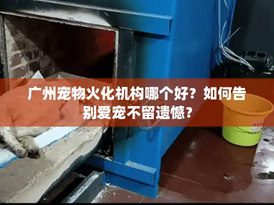 广州宠物火化机构哪个好？如何告别爱宠不留遗憾？