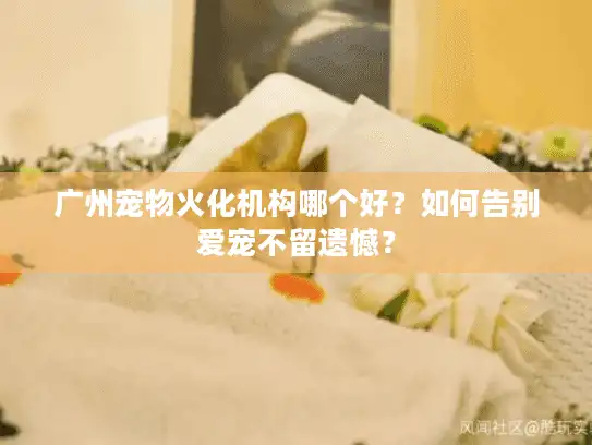 广州宠物火化机构哪个好？如何告别爱宠不留遗憾？