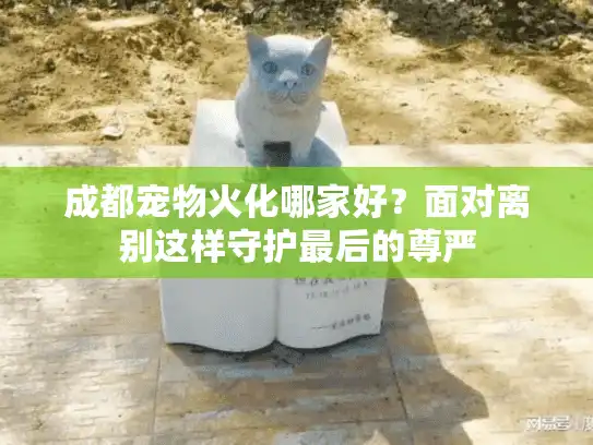 成都宠物火化哪家好？面对离别这样守护最后的尊严
