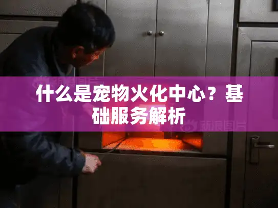 什么是宠物火化中心？基础服务解析
