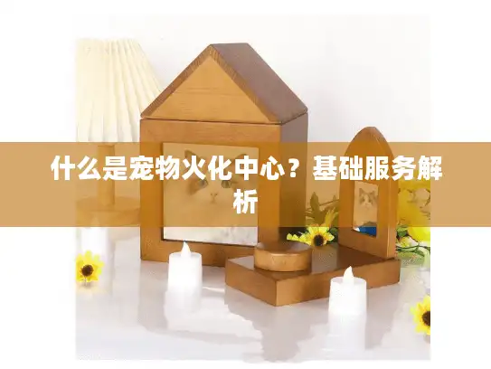 什么是宠物火化中心？基础服务解析