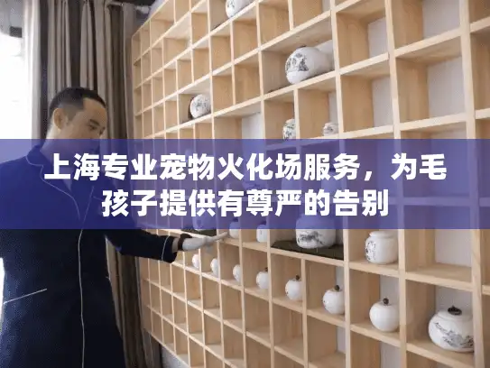 上海专业宠物火化场服务，为毛孩子提供有尊严的告别