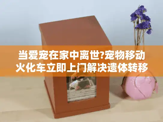 当爱宠在家中离世?宠物移动火化车立即上门解决遗体转移难题