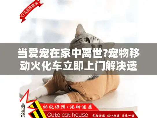 当爱宠在家中离世?宠物移动火化车立即上门解决遗体转移难题