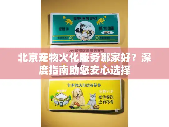 北京宠物火化服务哪家好？深度指南助您安心选择
