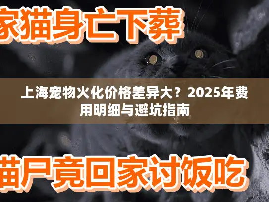上海宠物火化价格差异大？2025年费用明细与避坑指南