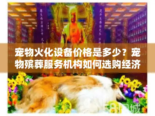 宠物火化设备价格是多少？宠物殡葬服务机构如何选购经济设备