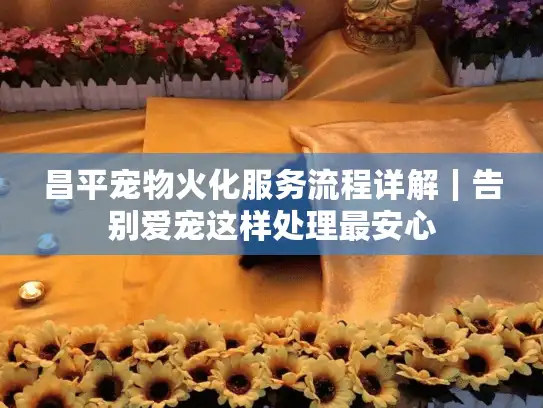 昌平宠物火化服务流程详解｜告别爱宠这样处理最安心