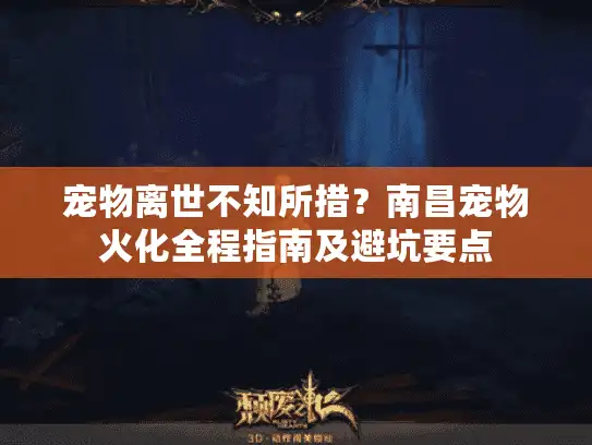 宠物离世不知所措？南昌宠物火化全程指南及避坑要点