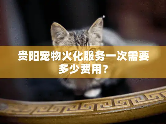 贵阳宠物火化服务一次需要多少费用？
