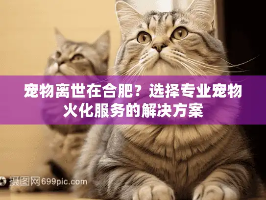 宠物离世在合肥？选择专业宠物火化服务的解决方案