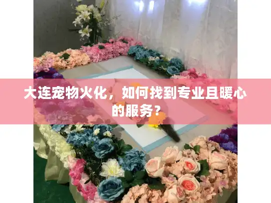 大连宠物火化，如何找到专业且暖心的服务？
