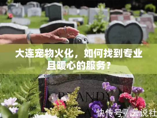 大连宠物火化，如何找到专业且暖心的服务？