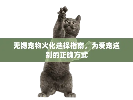 无锡宠物火化选择指南，为爱宠送别的正确方式