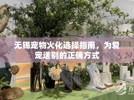 无锡宠物火化选择指南，为爱宠送别的正确方式