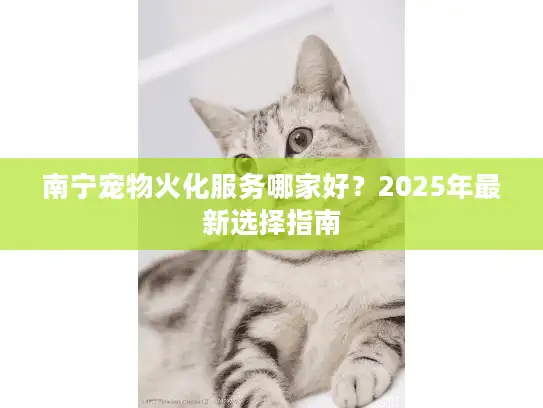 南宁宠物火化服务哪家好？2025年最新选择指南