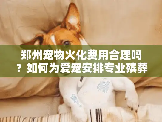 郑州宠物火化费用合理吗？如何为爱宠安排专业殡葬服务