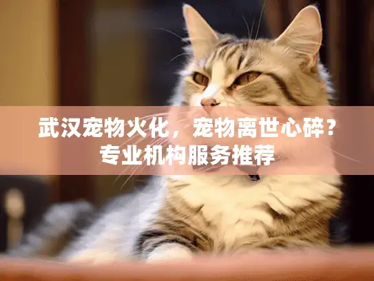 武汉宠物火化，宠物离世心碎？专业机构服务推荐