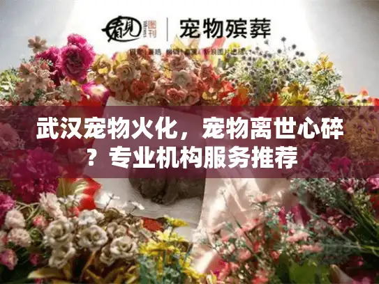 武汉宠物火化，宠物离世心碎？专业机构服务推荐
