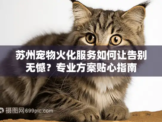 苏州宠物火化服务如何让告别无憾？专业方案贴心指南