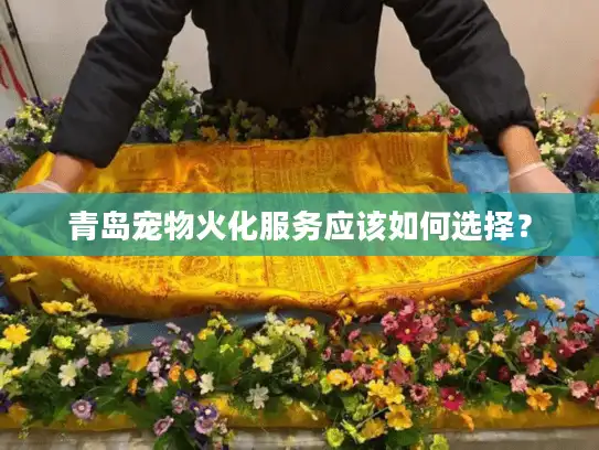 青岛宠物火化服务应该如何选择？