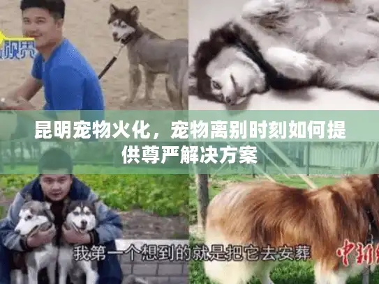 昆明宠物火化，宠物离别时刻如何提供尊严解决方案