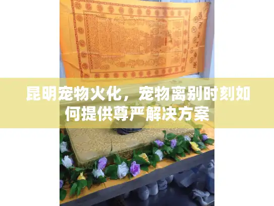 昆明宠物火化，宠物离别时刻如何提供尊严解决方案