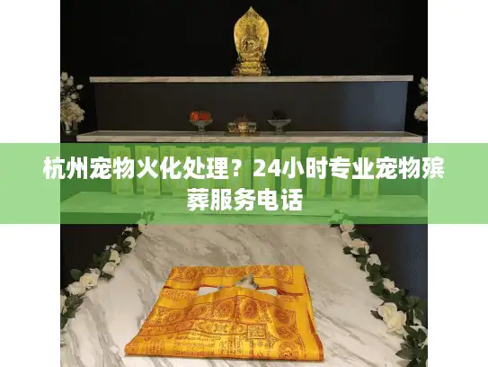 杭州宠物火化处理？24小时专业宠物殡葬服务电话