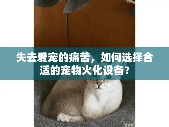 失去爱宠的痛苦，如何选择合适的宠物火化设备？
